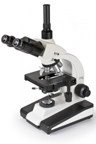872d1f02-cf36-11ef-9d2e-000c29e1040d